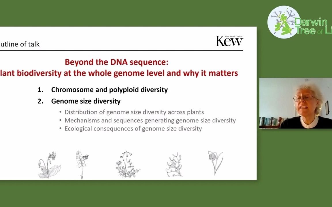 [图]Darwin Tree of Life