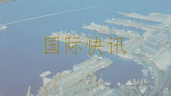 【模拟恐怖】国际快讯 胜安航空185空难结论(音障ep5)