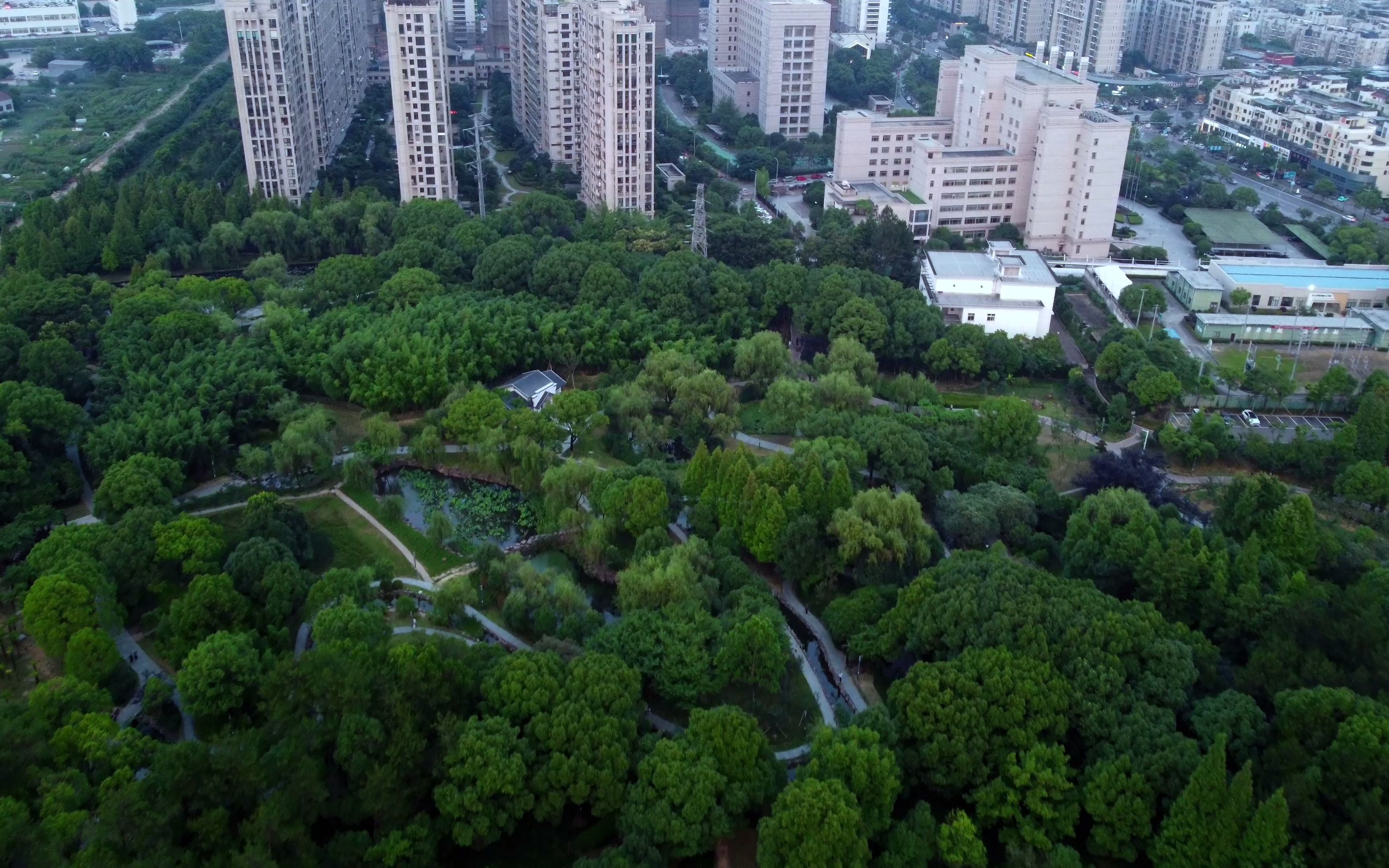 航拍浙江永康香樟公园改造后风景更美了