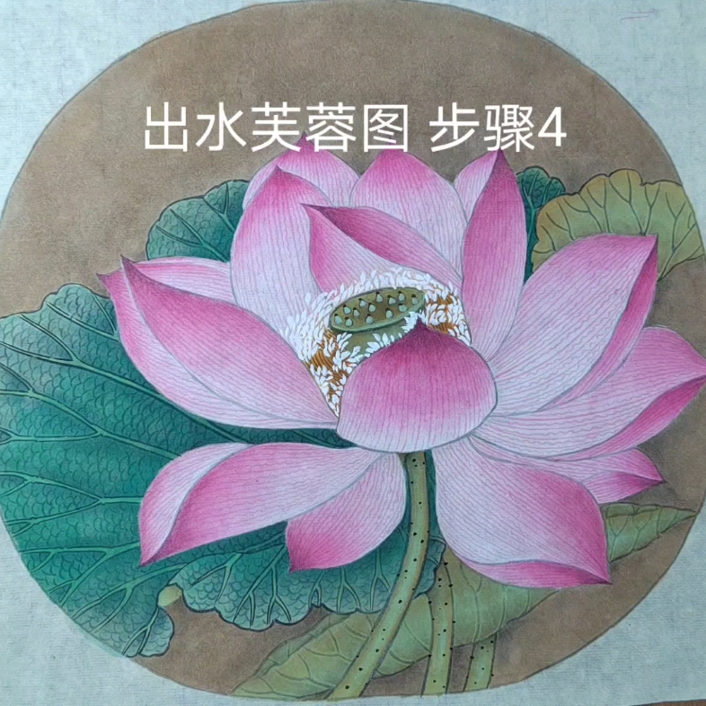 出水芙蓉图 步骤4哔哩哔哩bilibili