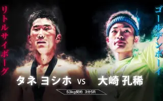 帆稀 搜索结果 哔哩哔哩 Bilibili