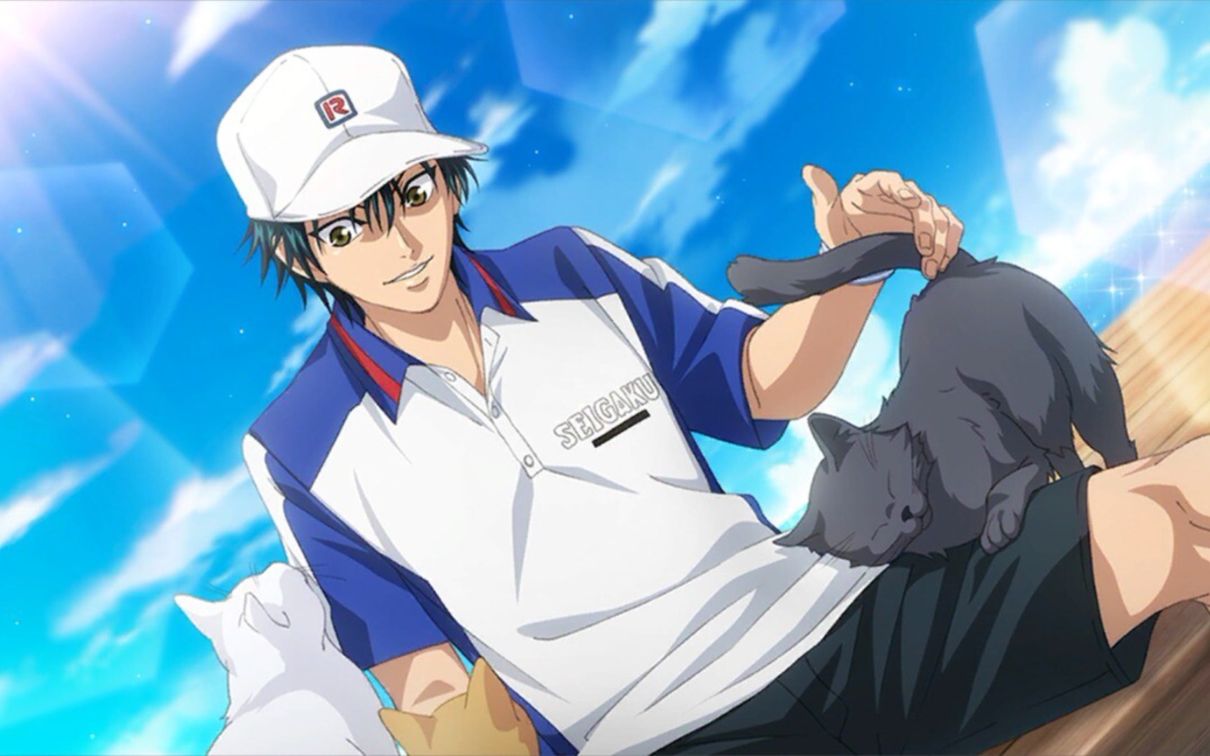 【越前龙马谷子开箱18】拍立得,花束立牌,青学祭立牌,油漆立牌,南家糖