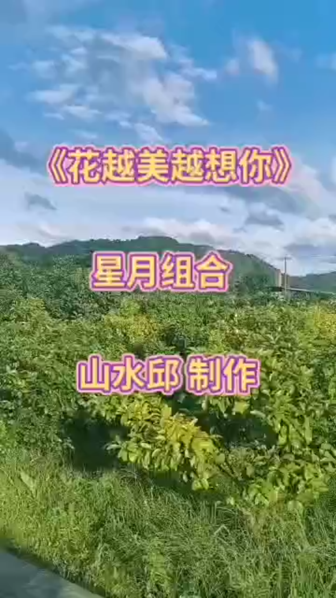 [图]完整版《花儿越美越想你》