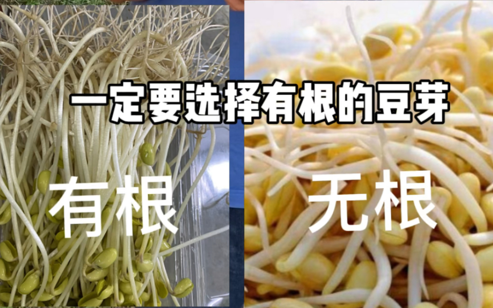 [图]千万别再买毒豆芽！