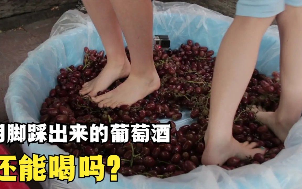 最贵的葡萄酒,竟是用脚踩出来的,这还能喝吗?