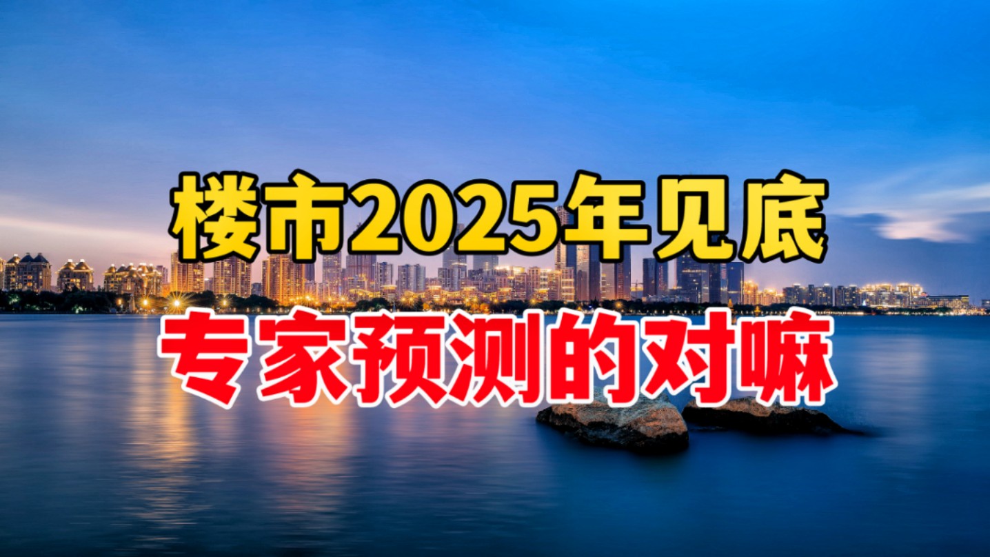 专家预测,中国房地产在2025年见底,这是真的吗?哔哩哔哩bilibili