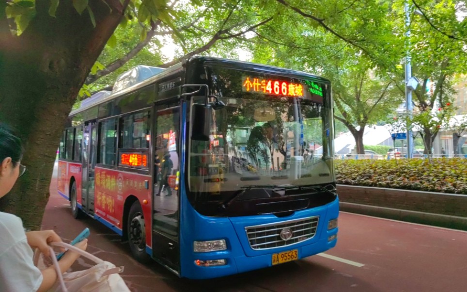 重庆西部公交 恒通ckz6106na4 466路运行视频(录制