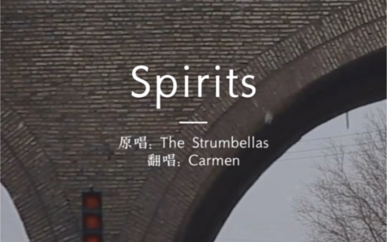 [图]Spirits 翻唱