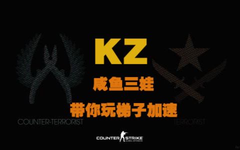 【KZ】CS身法新手向LAJ教学哔哩哔哩bilibili