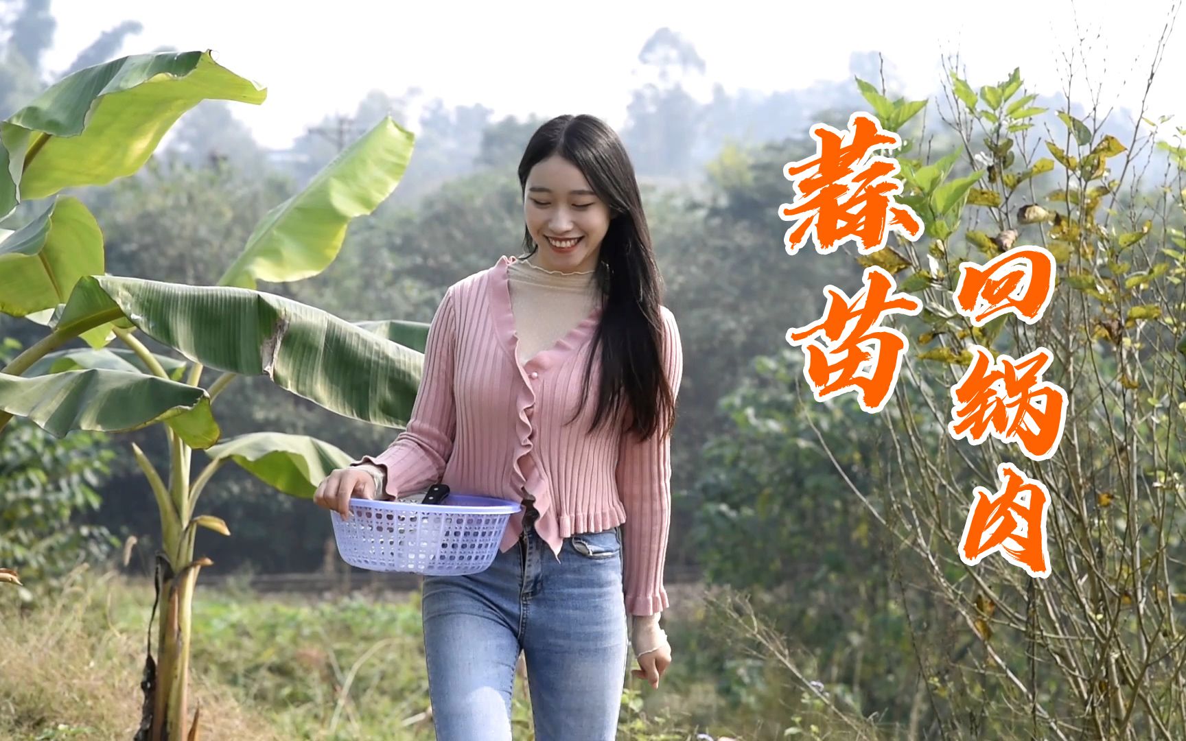 阳小月种的大蒜发苗了,割点蒜苗回去炒回锅肉,外婆