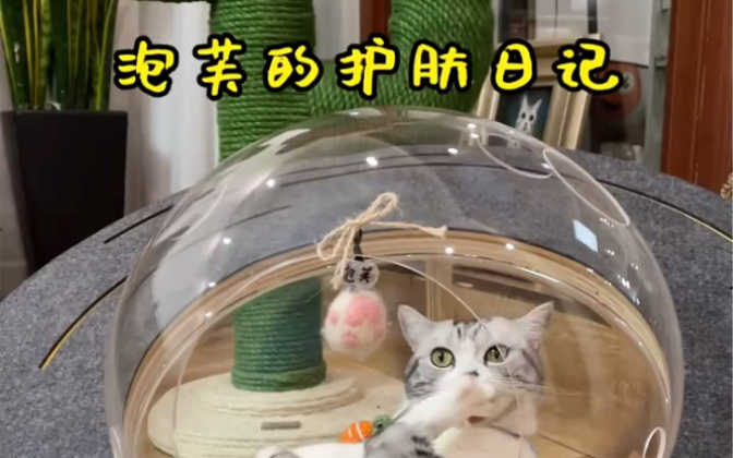 [图]芙芙今天也是精致的猪猪女孩儿