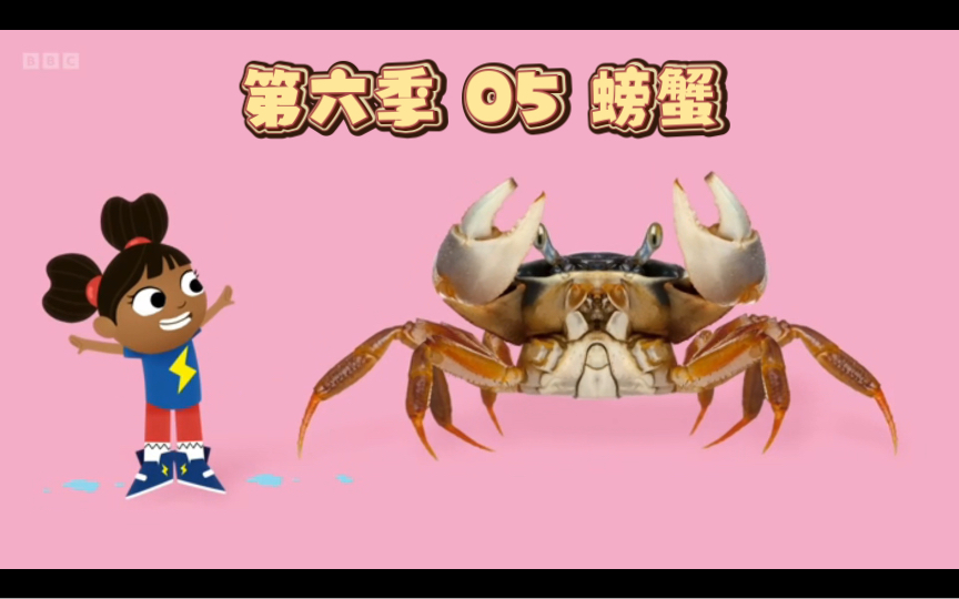 [图]Yakka Dee 第六季 05 Crab