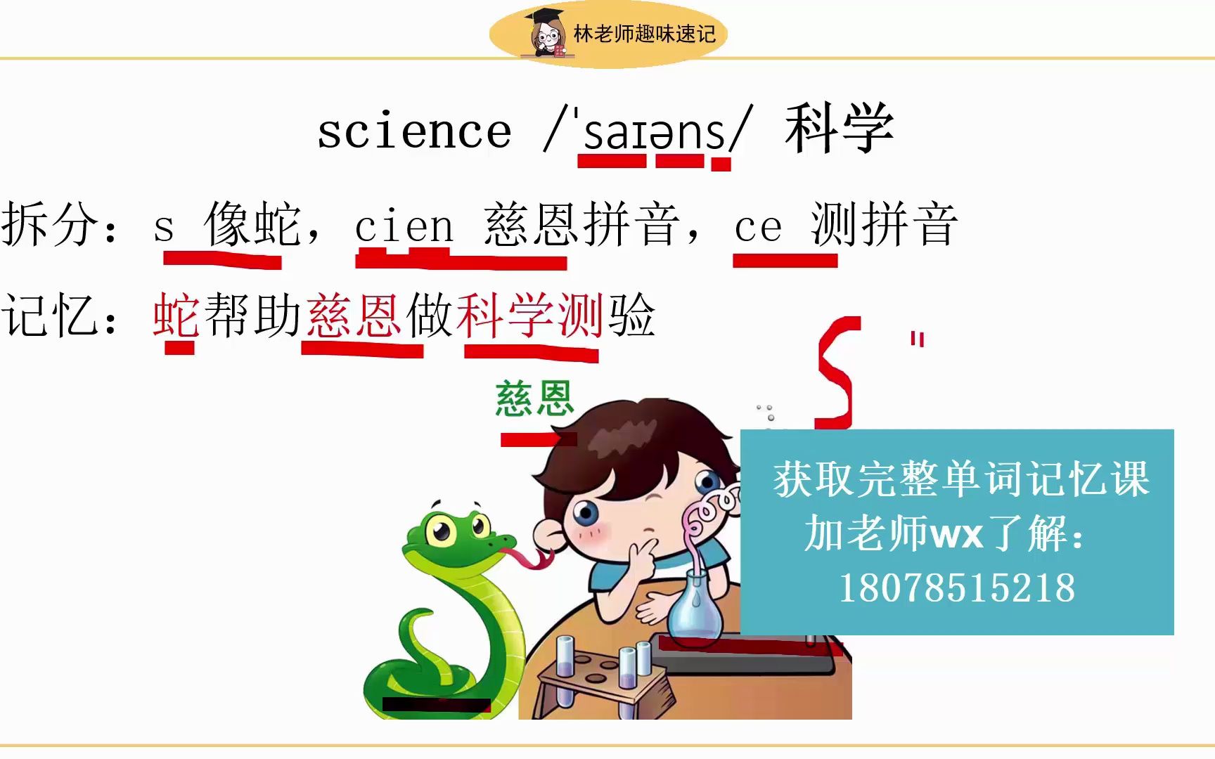 science,museum怎么默写英语单词快,小学1-6年级英语单词表,电脑端背