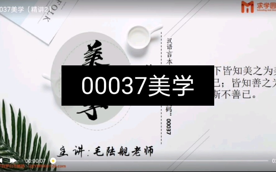 2022年最新课程00037美学精讲(二)上哔哩哔哩bilibili