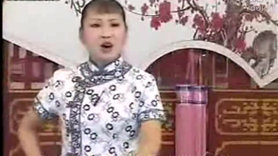 [图]河南坠子【大瞎话】胡中花演唱