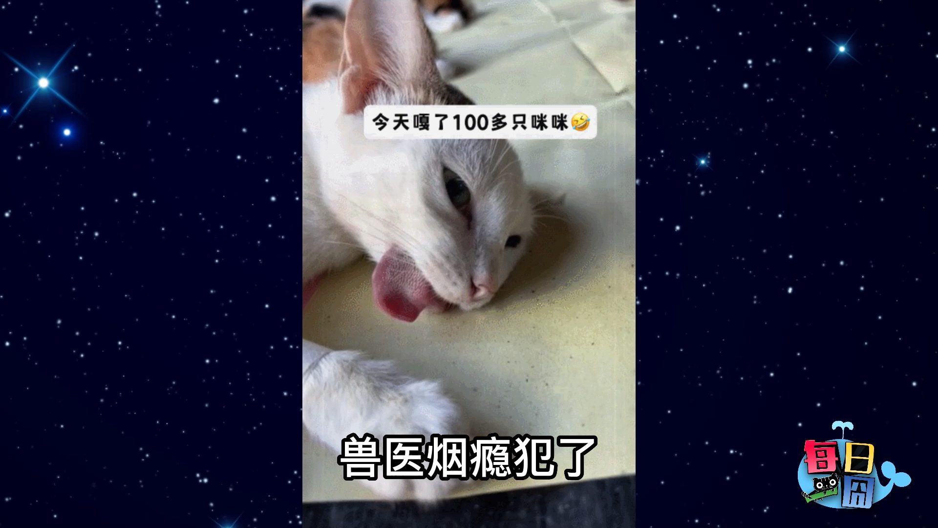 【每日一囧】真是一场酣畅淋漓的《蛋宰派对》啊! |猫猫村长