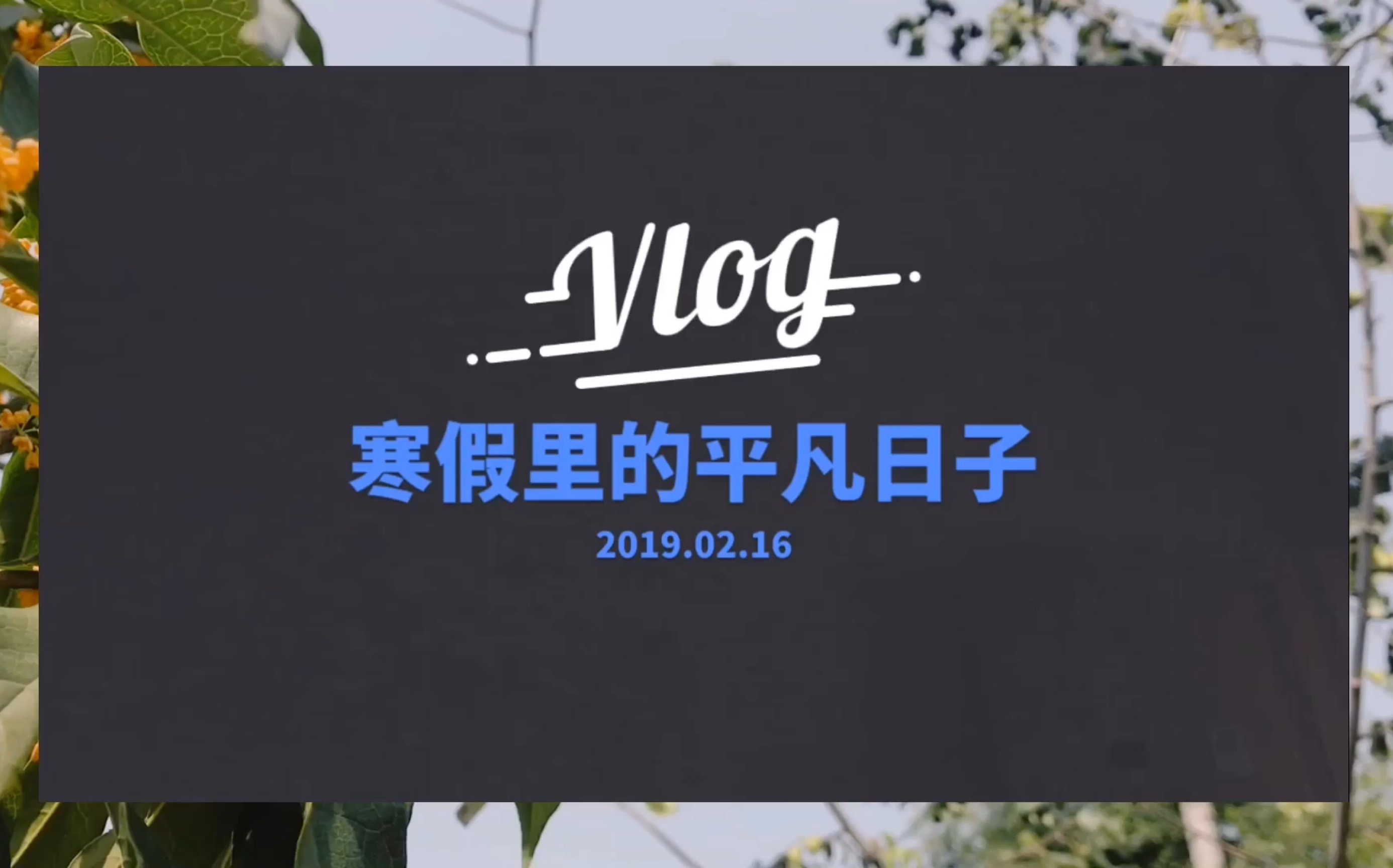 vlog 寒假里的平凡日子
