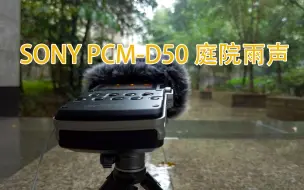 sony pcm-d50记录庭院雨声