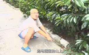 Download Video: 【慎点！吃饭时千万别看！！！】两个桃子落到电动车后备箱几周才想起来是什么后果