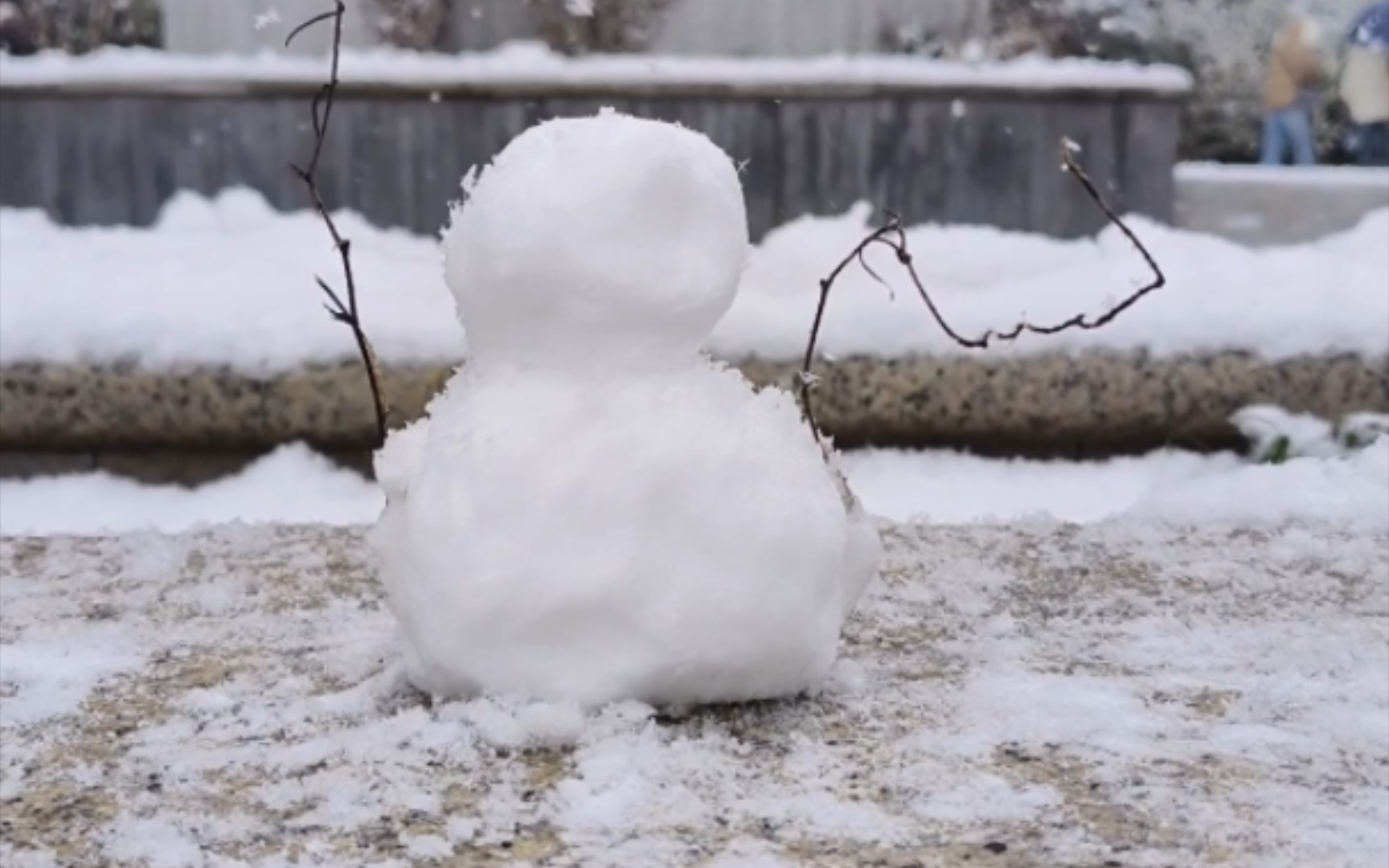 [图]雪落无声，世界静谧如画