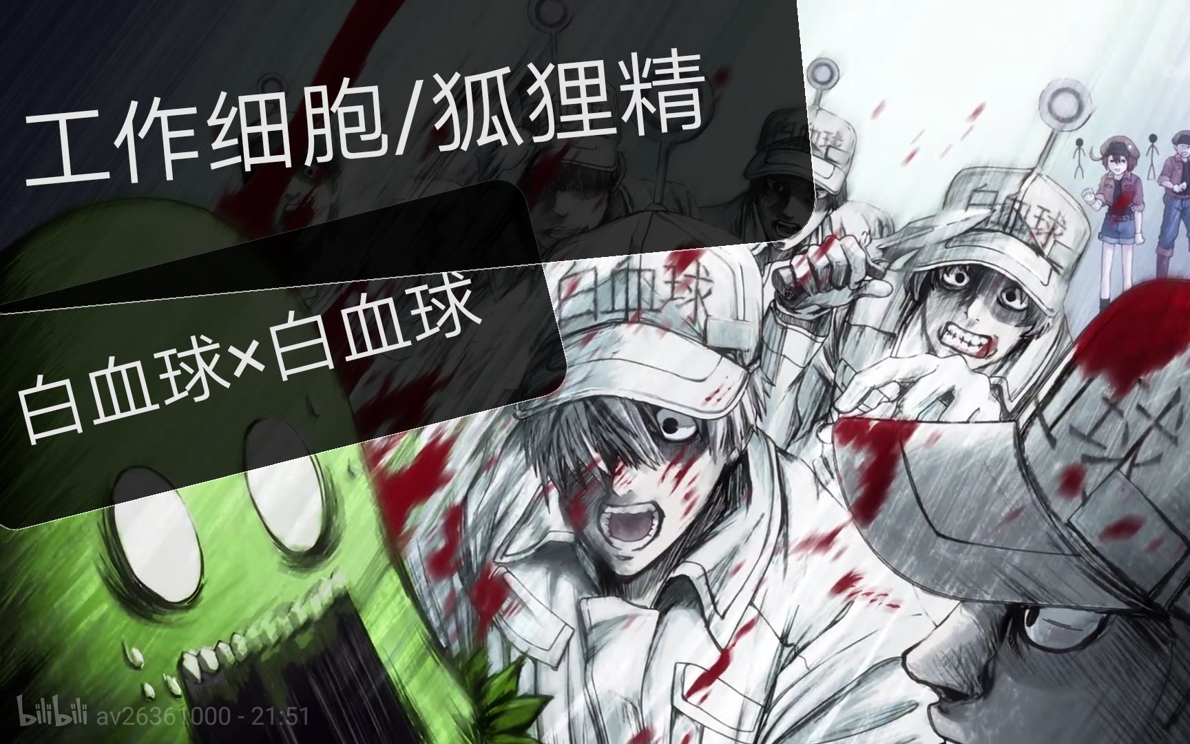 工作细胞狐狸精白血球白血球