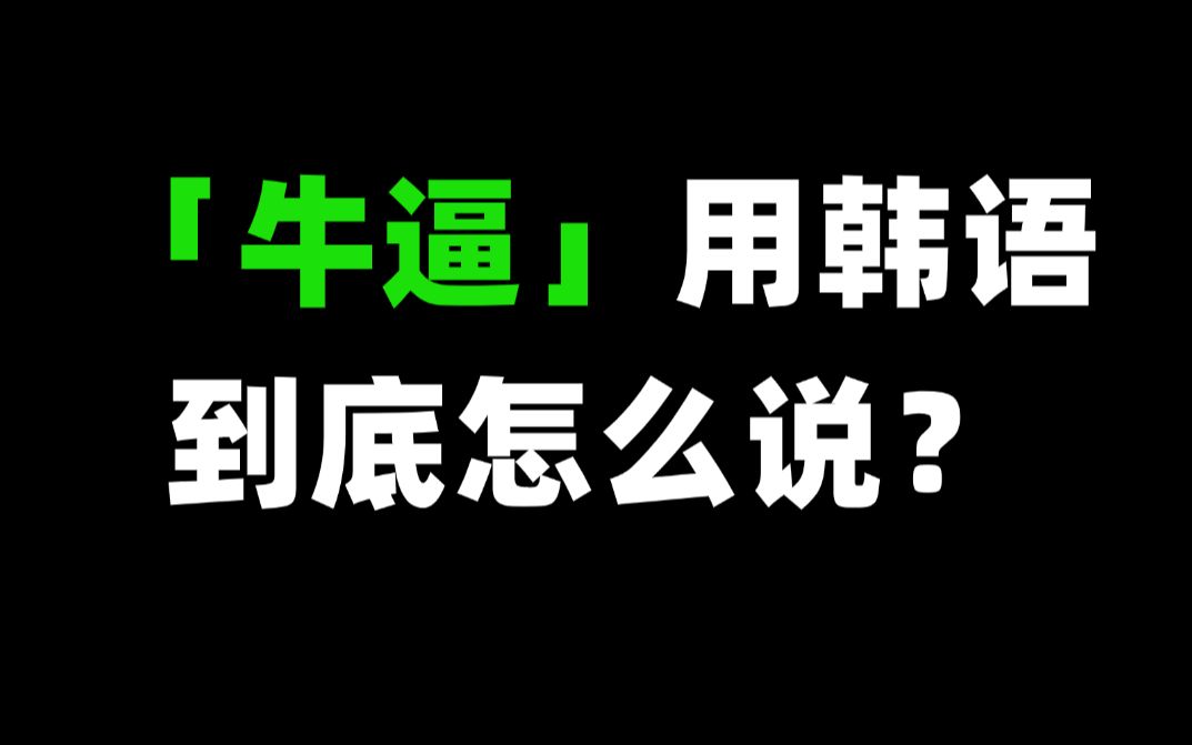 【韩语】“牛逼”用韩语怎么说呢?看完这个视频你就会啦!!哔哩哔哩bilibili