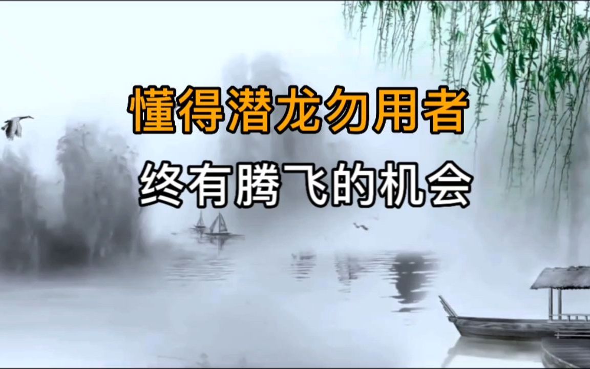 易经:懂得潜龙勿用者,总有一次腾飞的机会!哔哩哔哩bilibili