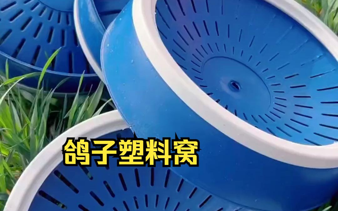 熟胶 塑料鸽子窝,大底座防侧翻,清洗后,可反复使用!