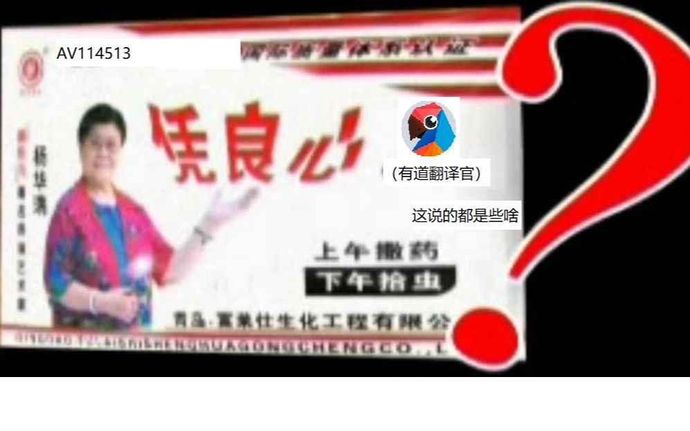 当凭良心(av114513)被有道翻译官翻译114514次后.