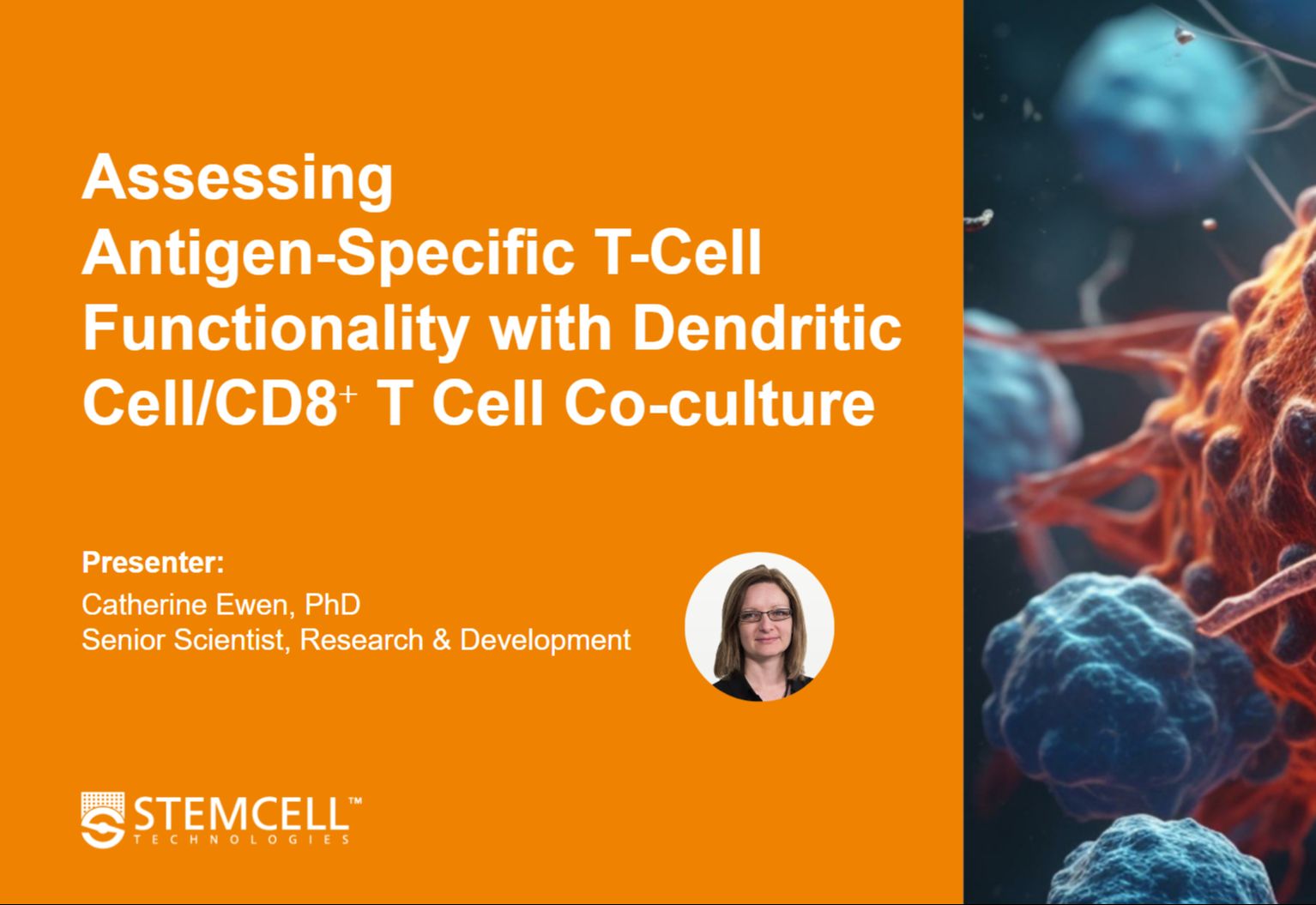 Assessing AntigenSpecific T Cell Functionality with Dendritic CellCD8ᐩ T Cell哔哩哔哩bilibili