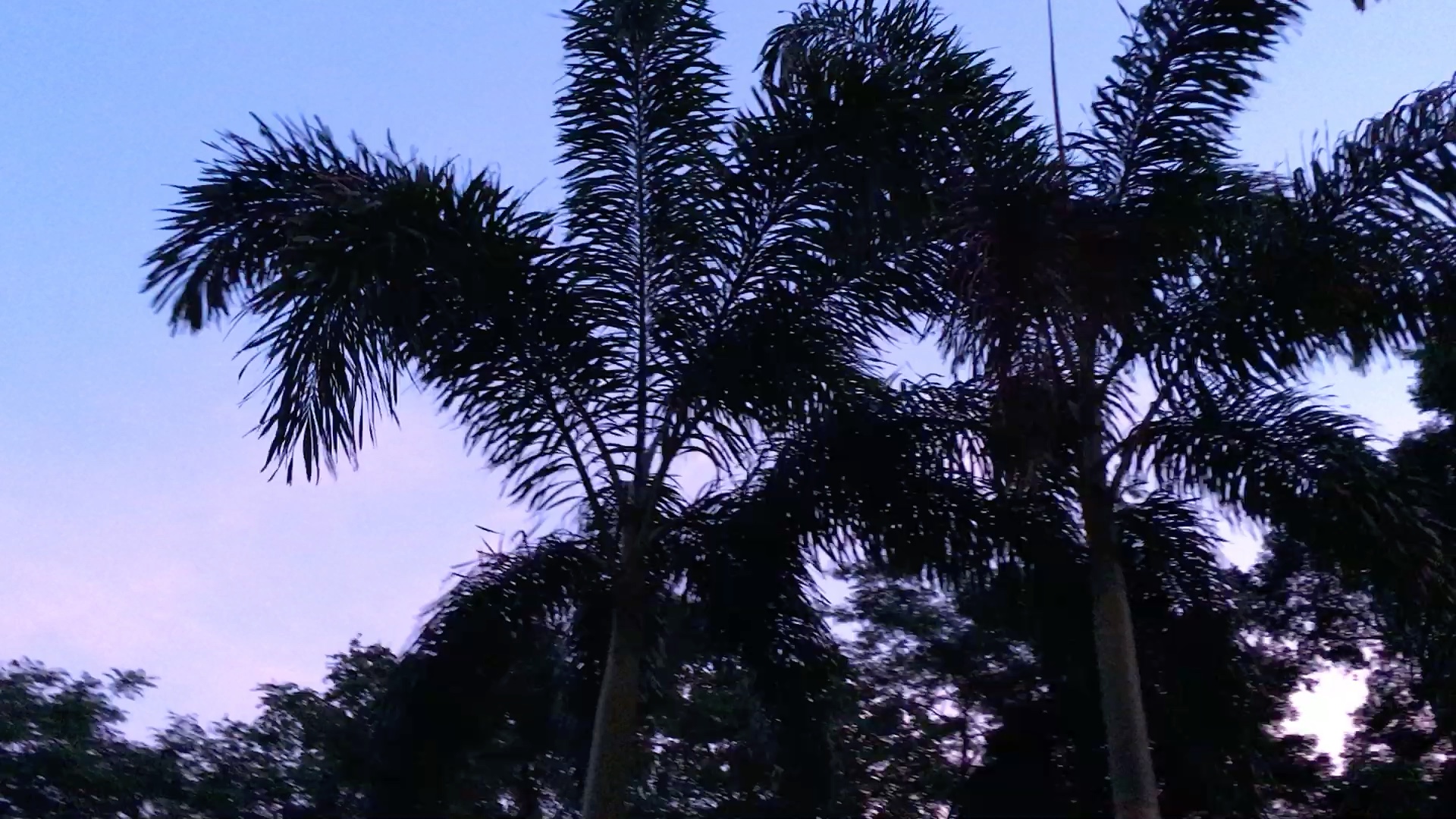 风爱好者海岛晚风