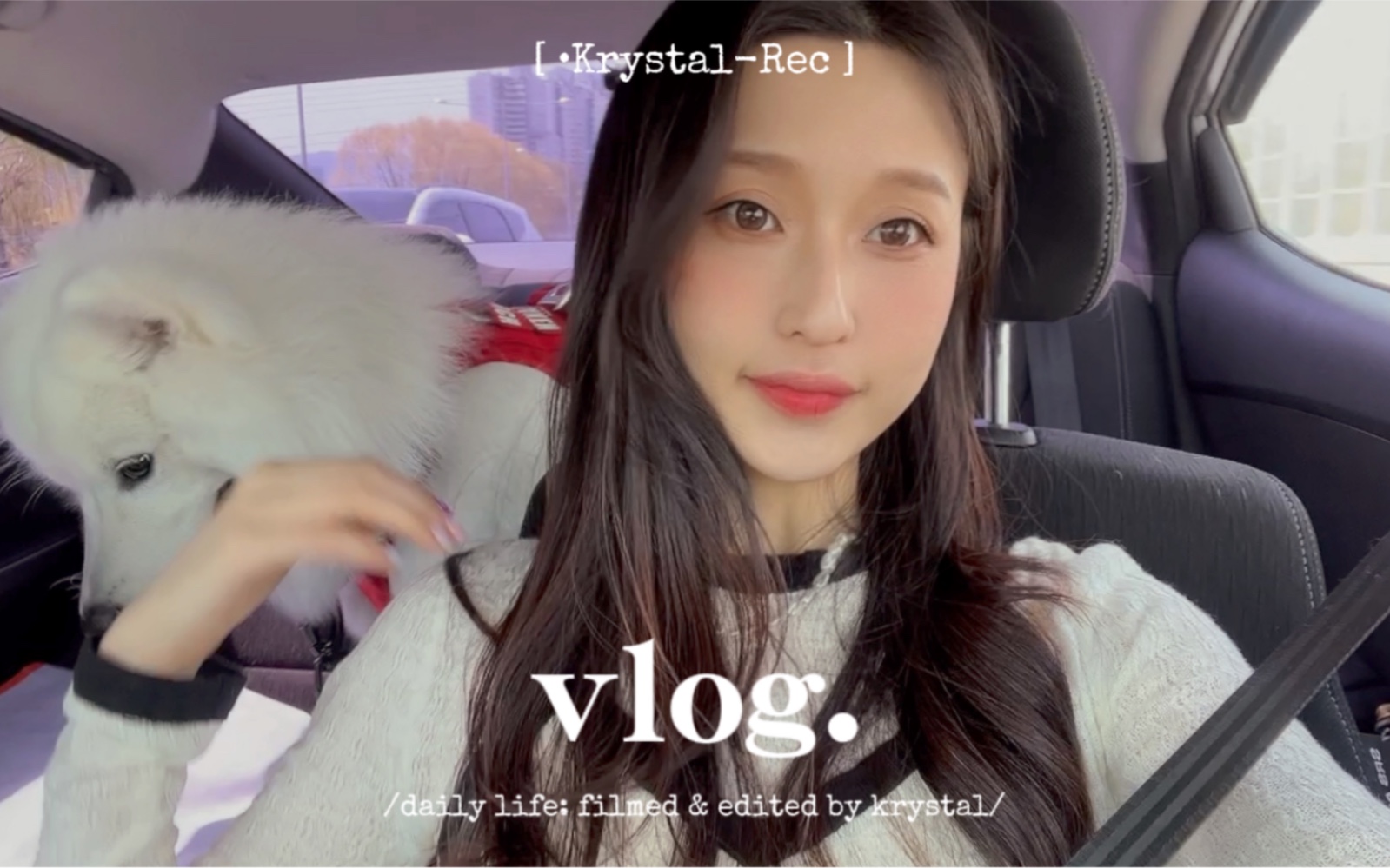 韩国Vlog|上班族日常|首尔樱花季/弘大 现代首尔 IFC MALL购物 汉江公园夜樱|仙游岛樱花野餐/大林火锅|萨摩耶卡布宠物医院驱虫哔哩哔哩bilibili