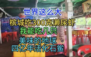 Download Video: 槟城吃濑尿虾，300克一只我能吃几只，美味的地球四亿年活化石鲎