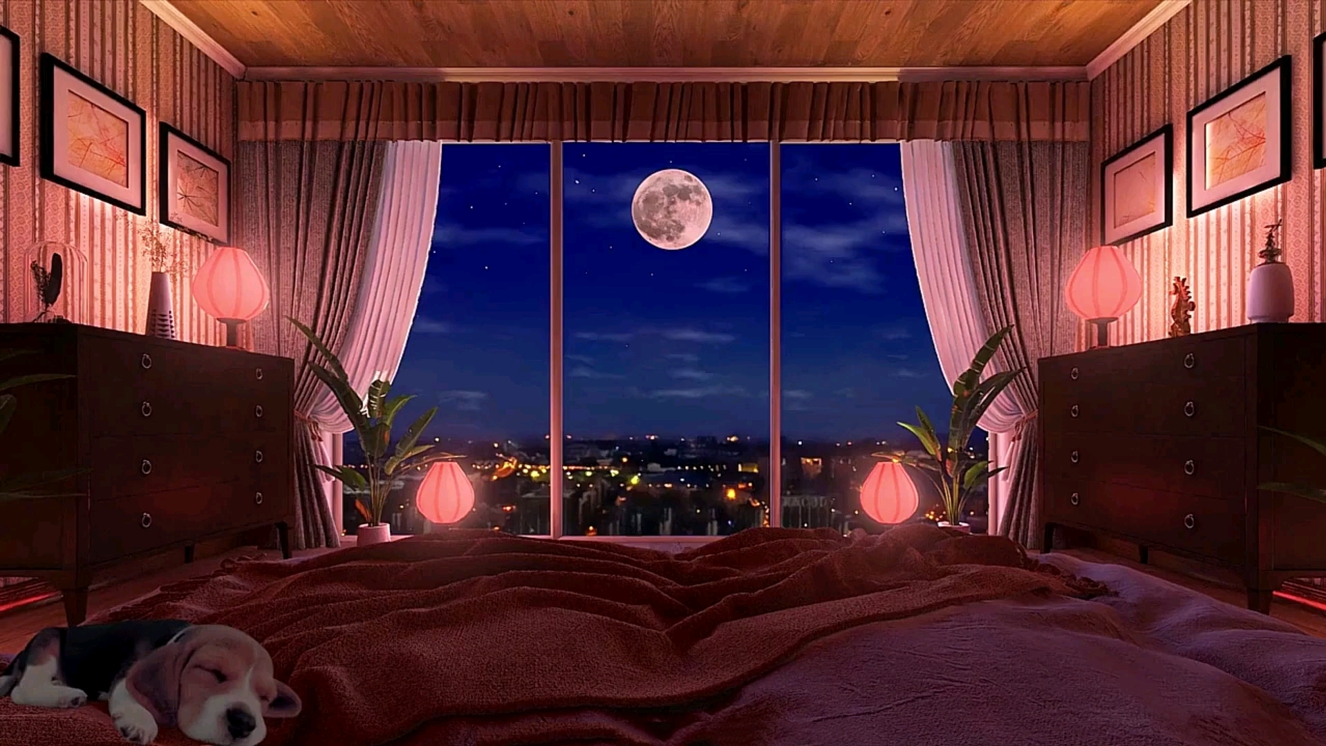 月夜大床,俯瞰城市夜景的大窗户,小屋白噪音