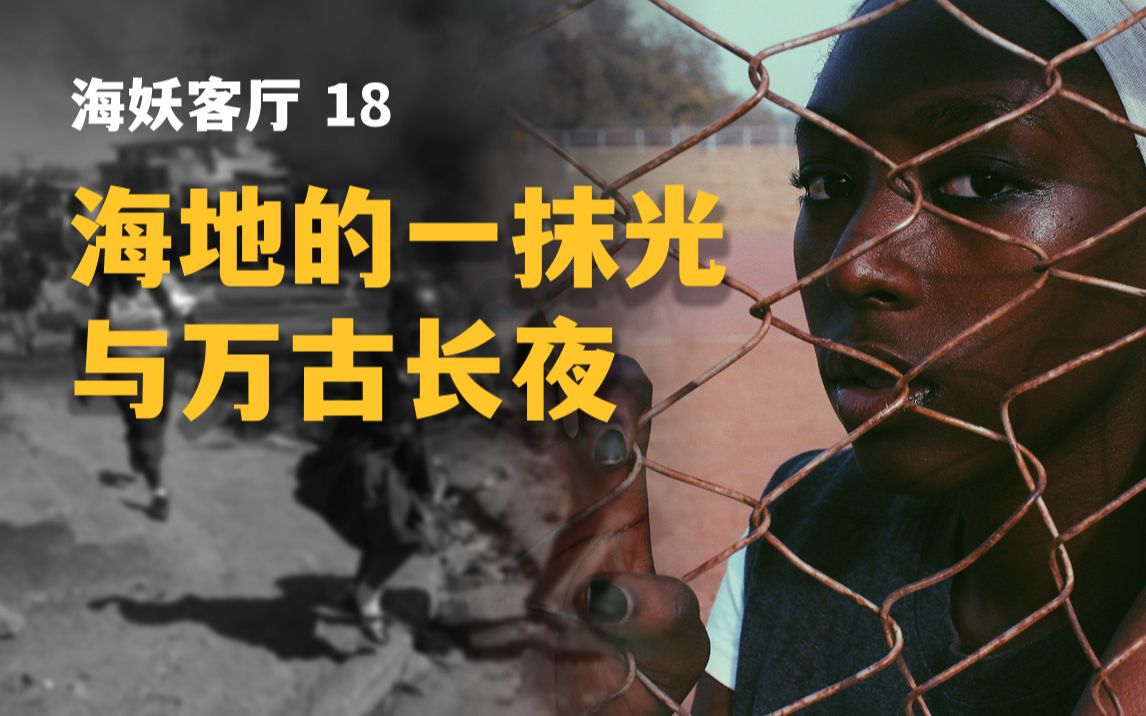 海地革命:从第一个黑人共和国,西半球第二个独立国家,到最混乱,最贫穷的今天.那一抹光与万古长夜哔哩哔哩bilibili