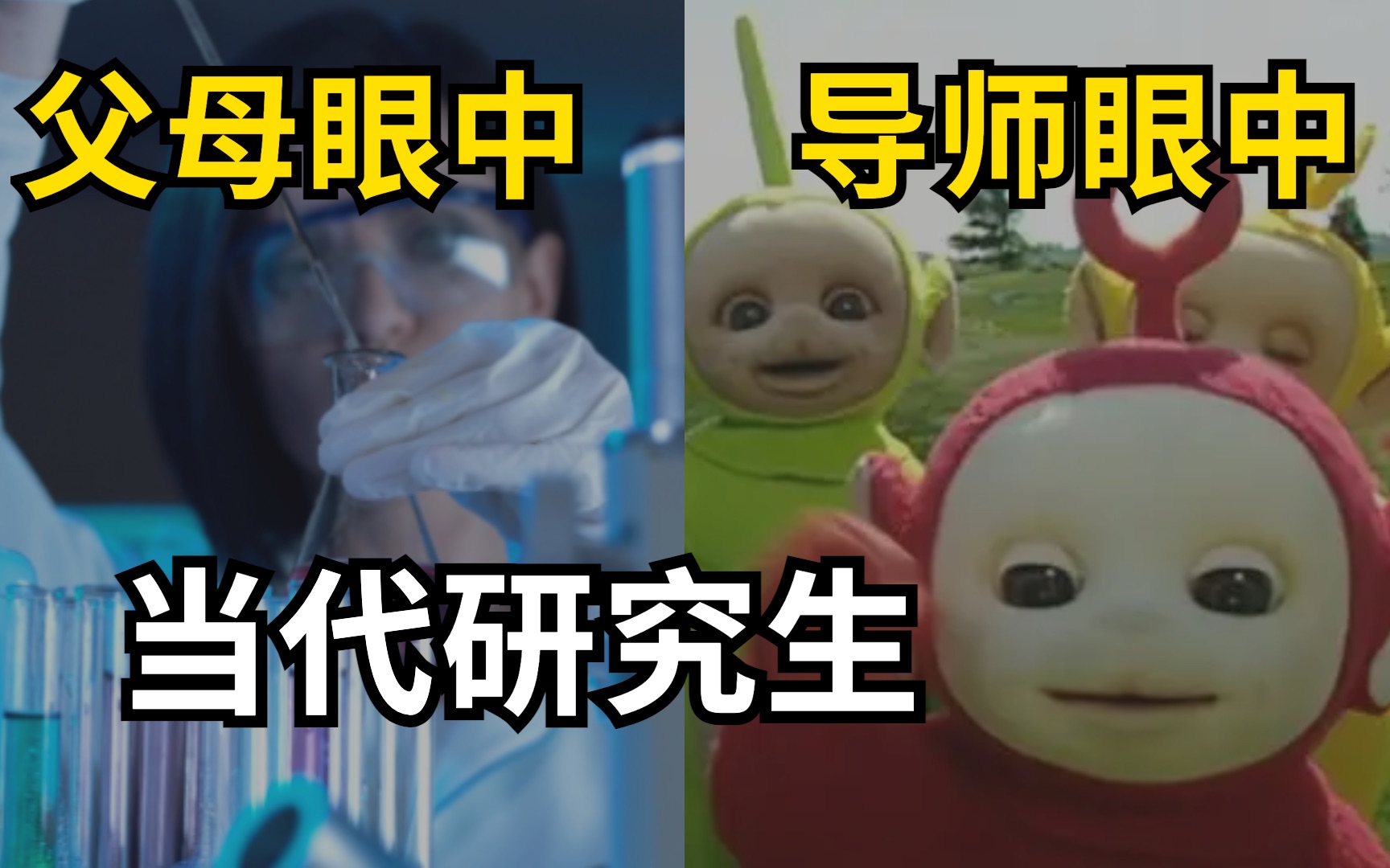 不同人眼中的研究生,过于真实【空卡】哔哩哔哩bilibili