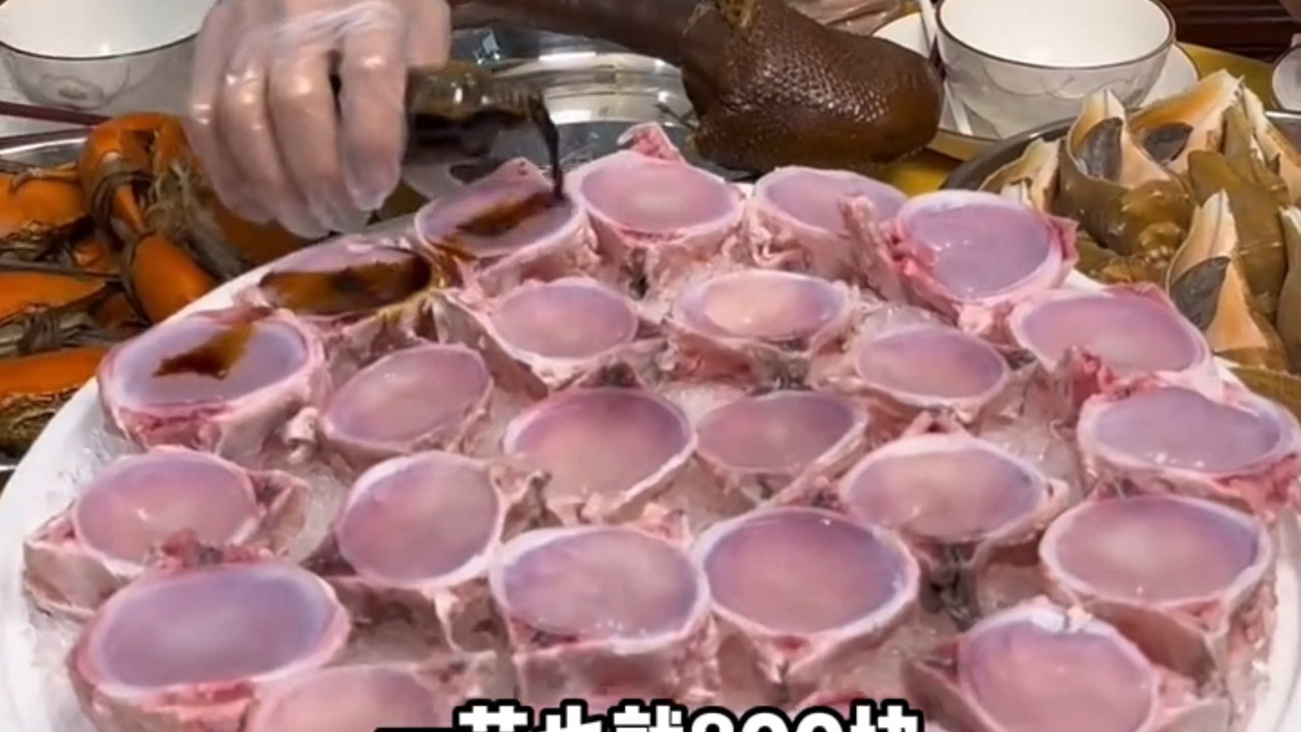 带你认识14种顶级食材
