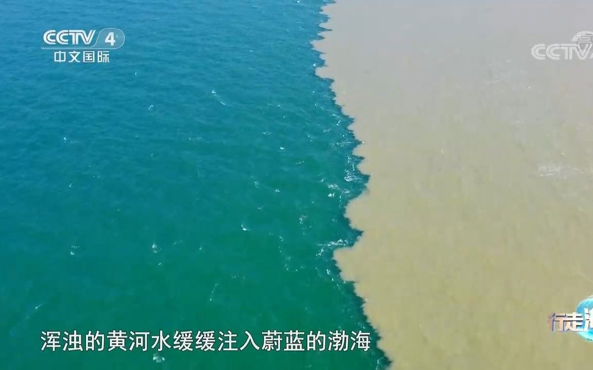 [图]黄河河口水域黄蓝交汇的“鸳鸯锅”景观的形成条件