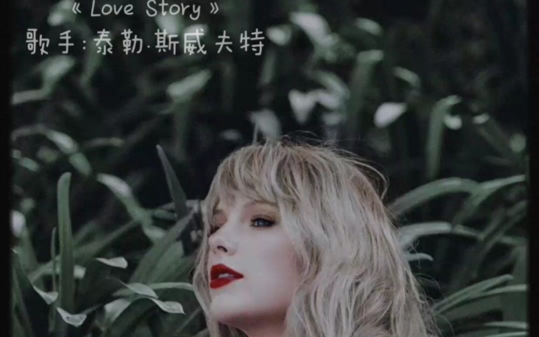 [图]《Love Story》爱情故事_霉霉