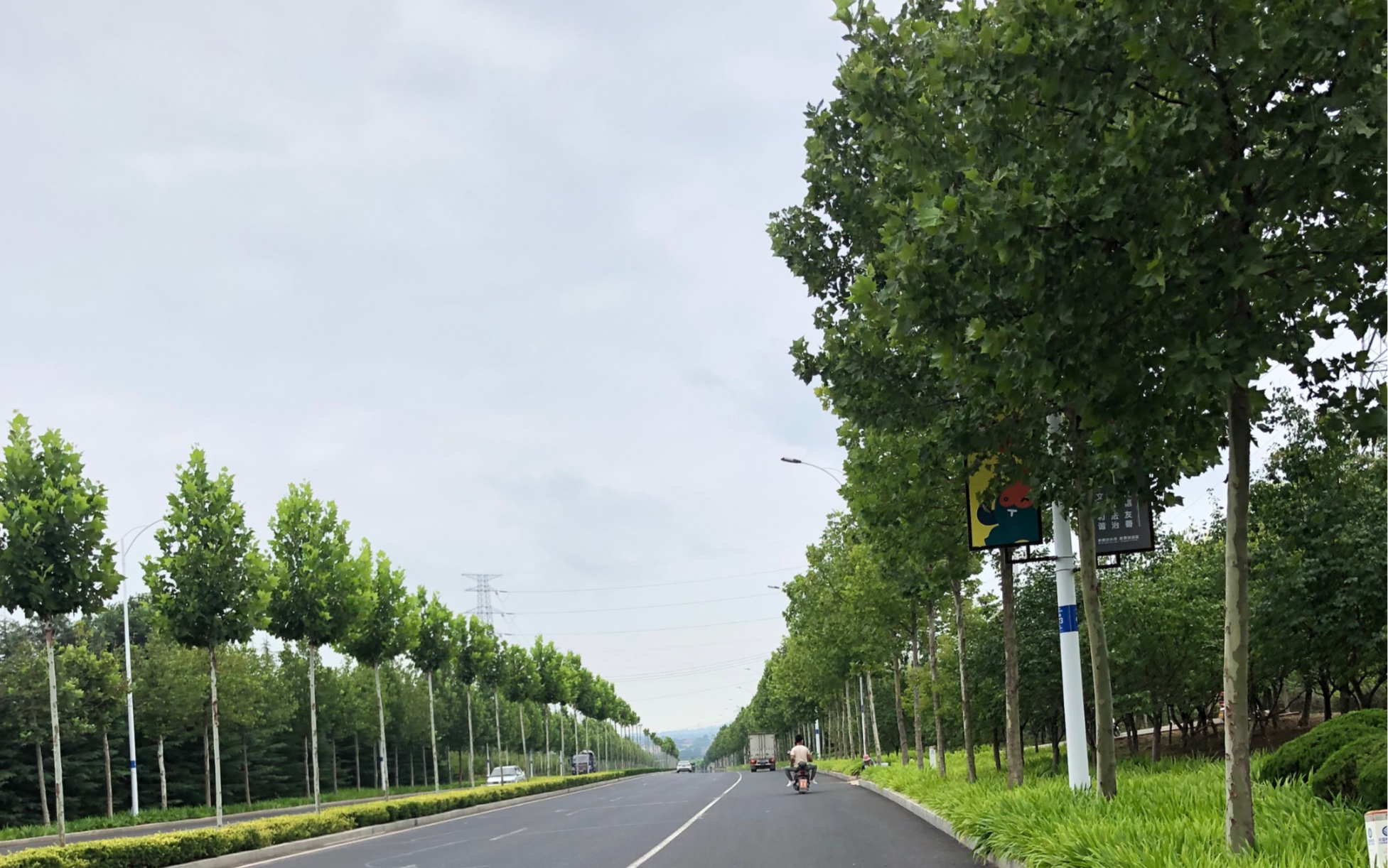 [图]小龙旅游西双版纳，迷路误入蝴蝶之谷