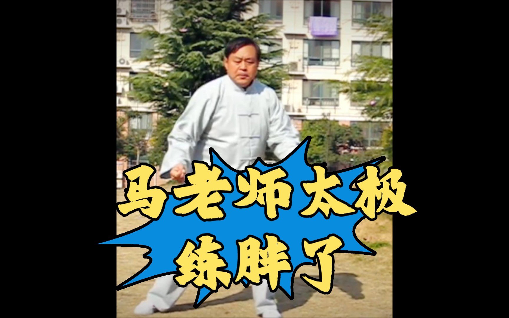 马老师的太极无限鞭