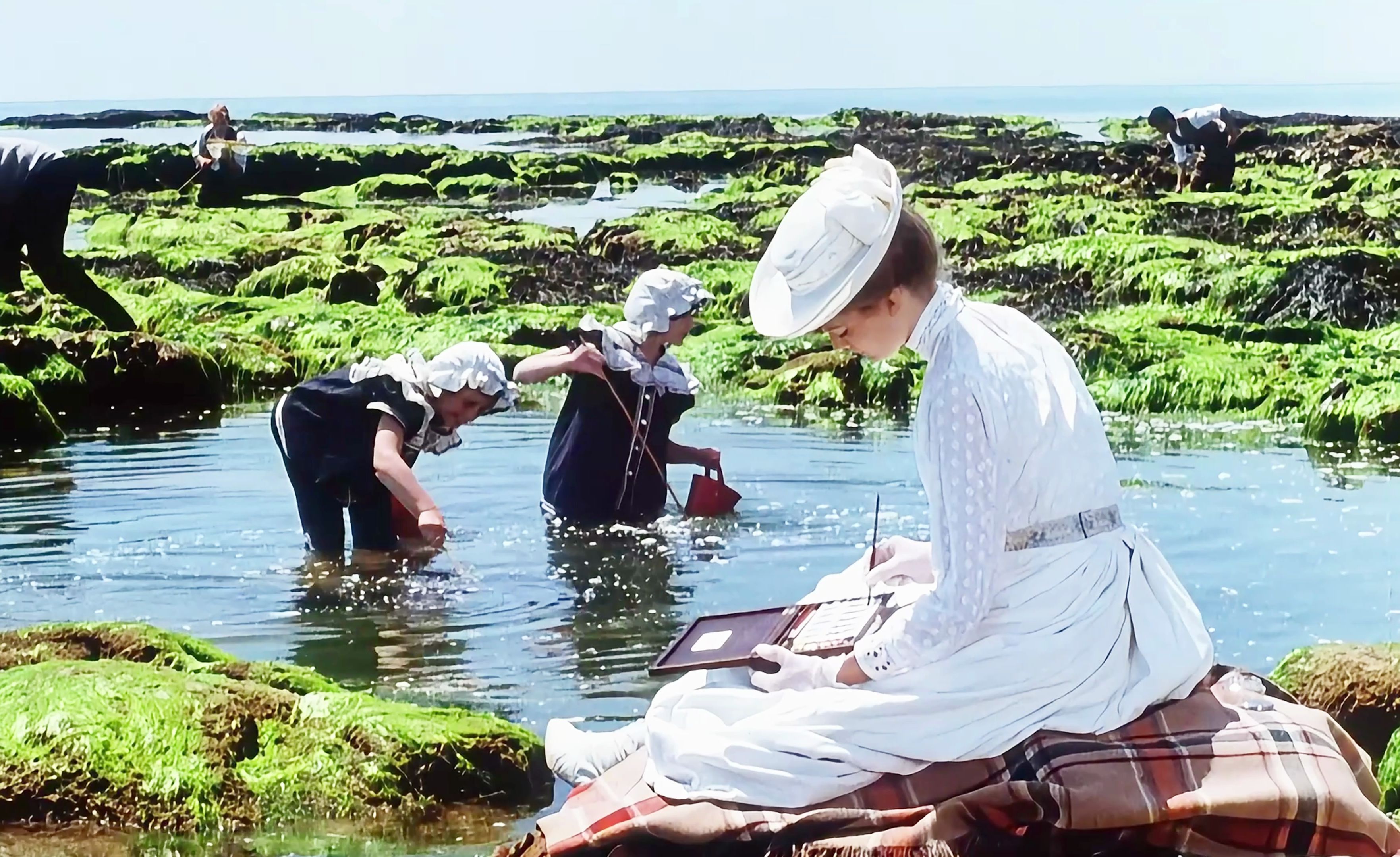 [图]一曲忧伤的夏日挽歌 ——《仲夏之恋》