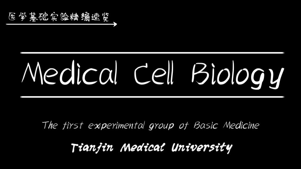 细胞生物学实验——细胞化学&小鼠骨髓染色体的制备哔哩哔哩bilibili