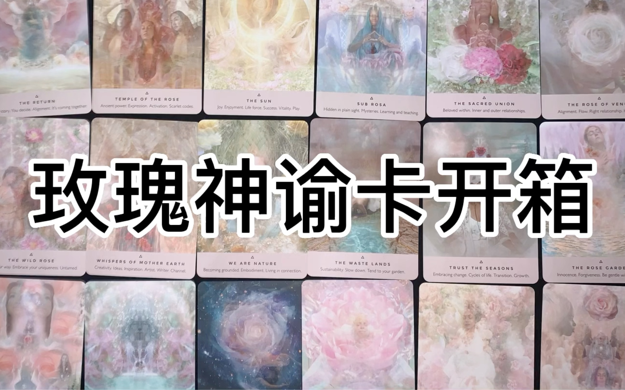 [图]【神谕卡开箱】玫瑰神谕卡 The Rose Oracle