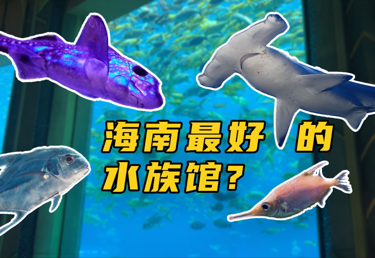 海南最好的水族馆?亚特兰蒂斯失落的空间水族馆!哔哩哔哩bilibili