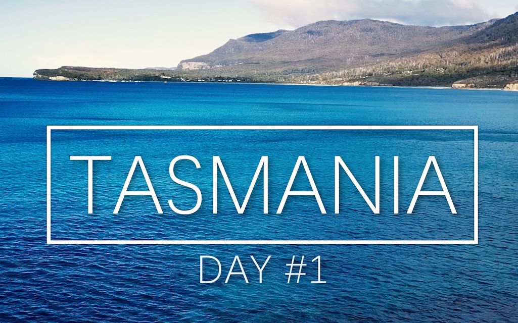 塔斯马尼亚之旅 | Tasmania  第一天哔哩哔哩bilibili