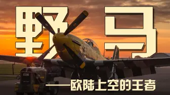 下载视频: 【P-51详解】传奇捕德机 螺旋桨战机的顶峰之作