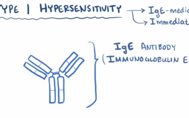 【搬运osmosis】type i hypersensitivity