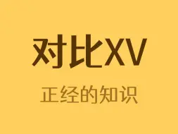 Download Video: 没有对比就没有伤害XV