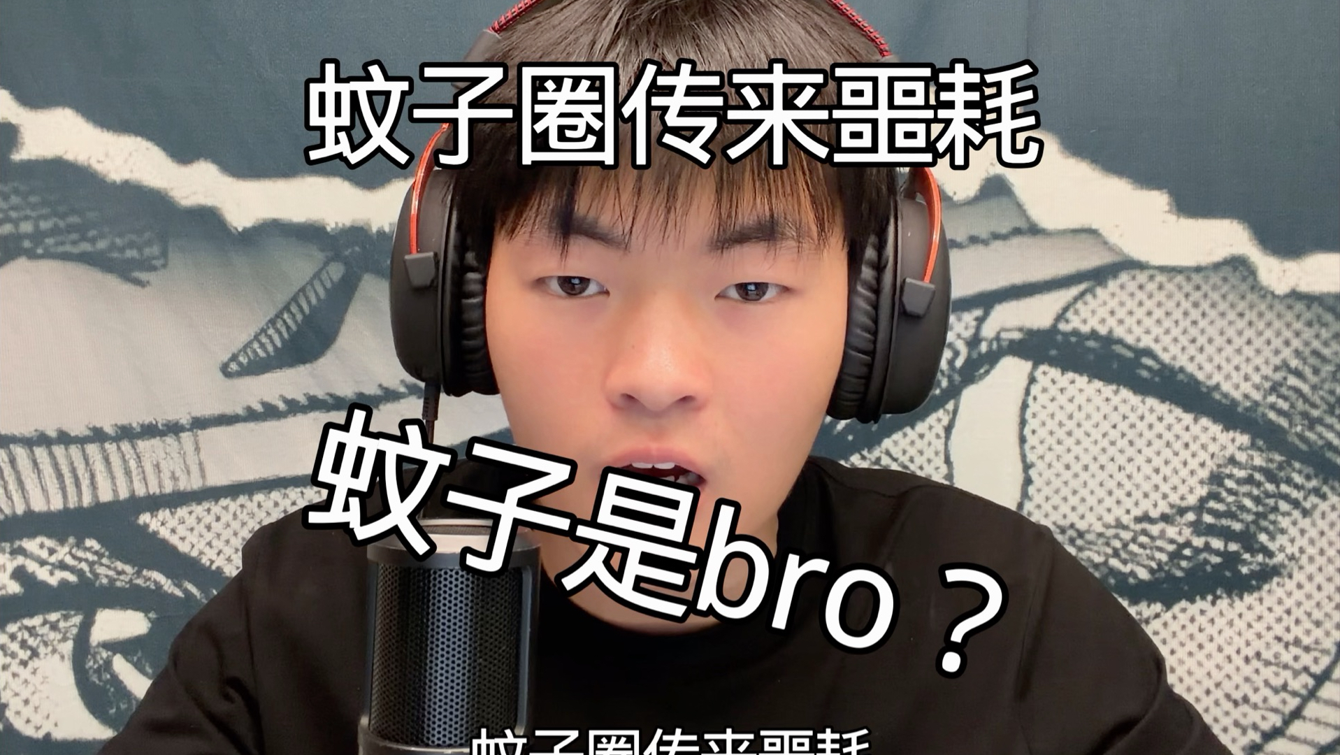 蚊子圈传来噩耗-狼少的狼-狼少的狼-哔哩哔哩视频